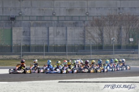 2015\WSK Gold Cup 2015 - ADRIA - 3/1/2015